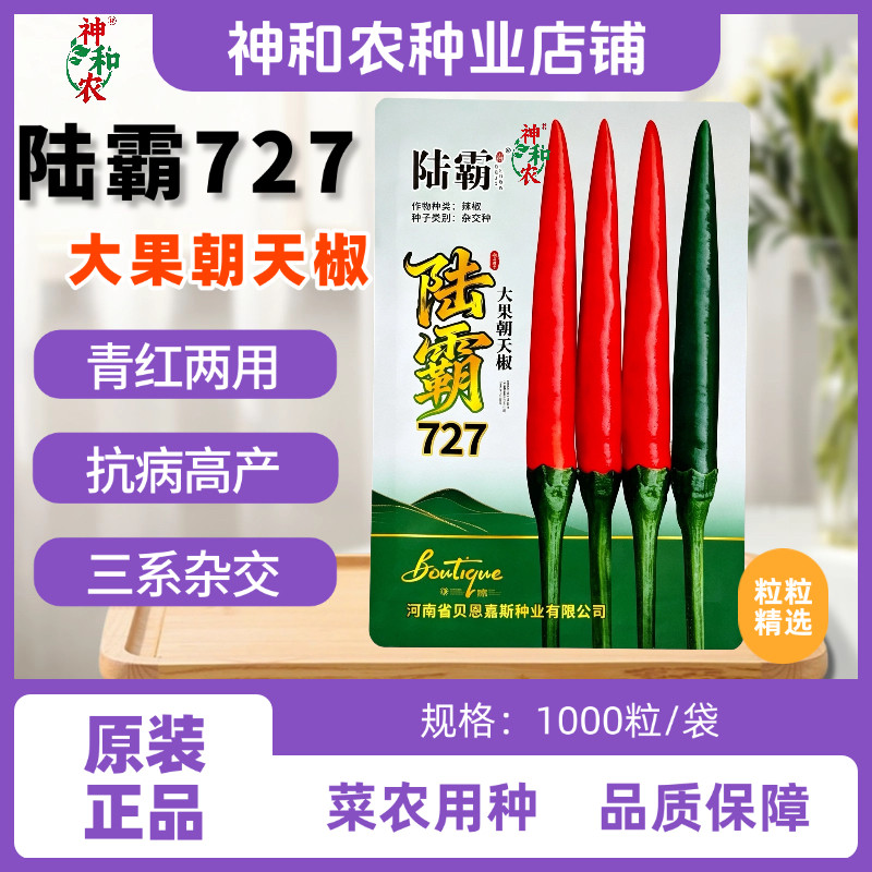 陆霸727大果朝天椒种子 杂交高产单生朝天椒 基地优选辣椒种籽孑