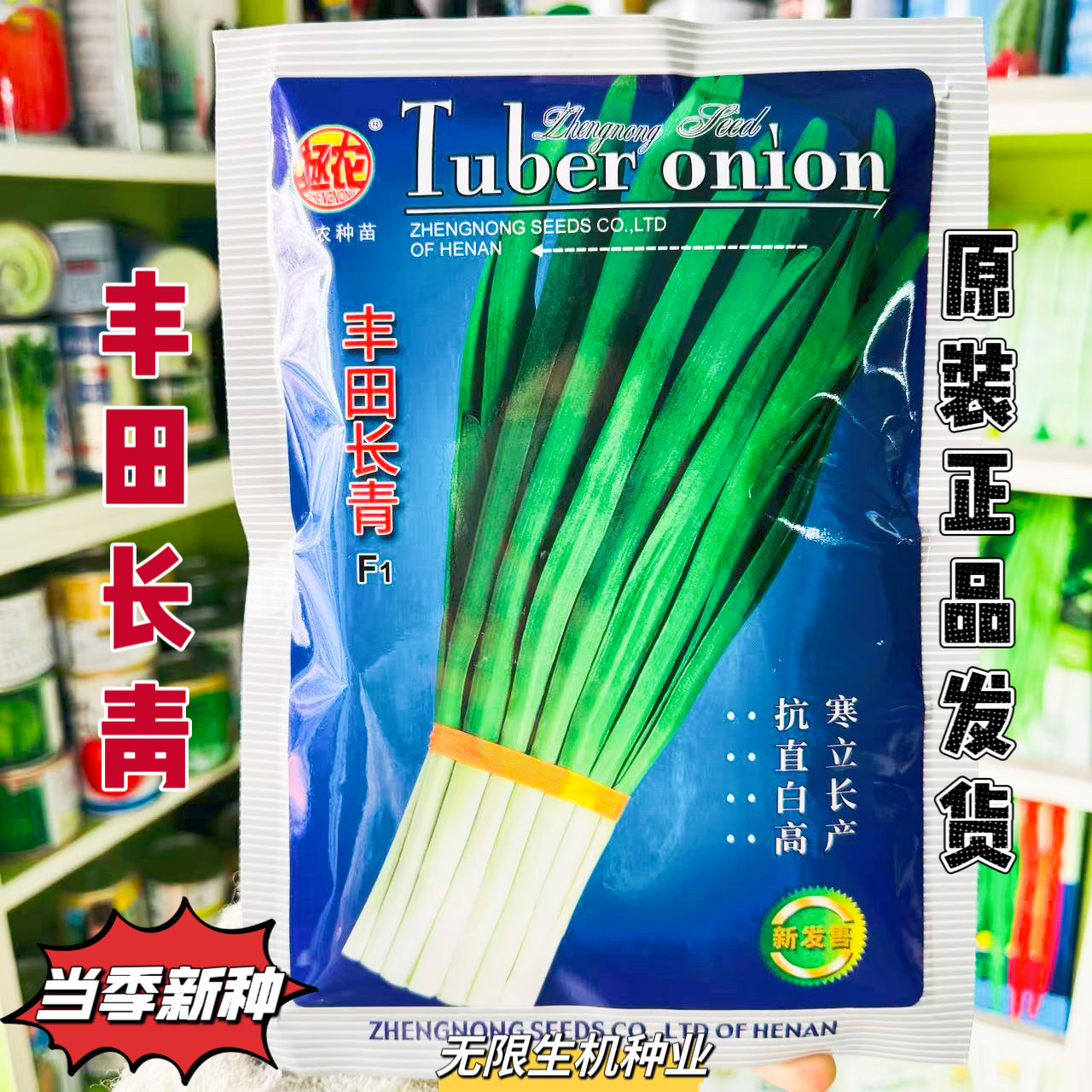 丰田长青种子抗寒耐热宽叶浓绿色韭菜种籽春秋播高产蔬菜种子正品