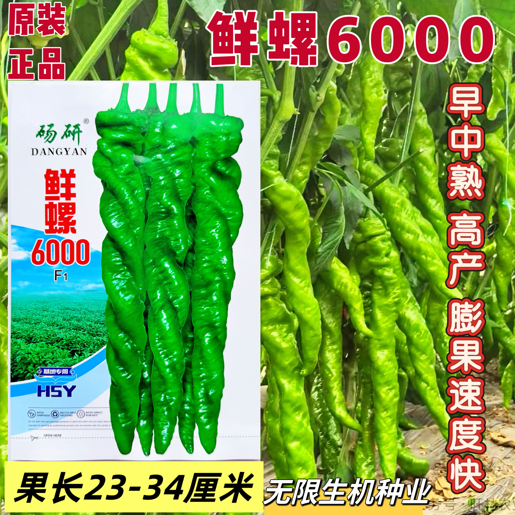 正品鲜螺6000大果螺丝椒种籽早中熟高产抗病辣味浓香皮薄螺丝椒孑