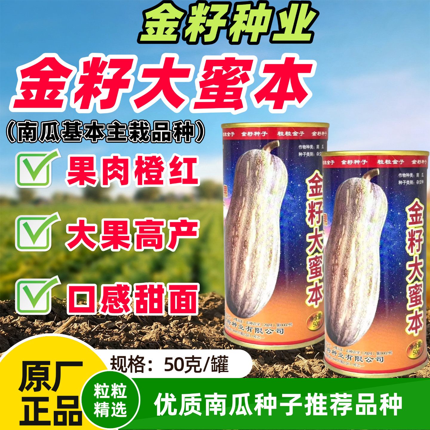 金籽大蜜本南瓜种子高产早熟大果蜜本南瓜种籽农家田园蔬菜种孑