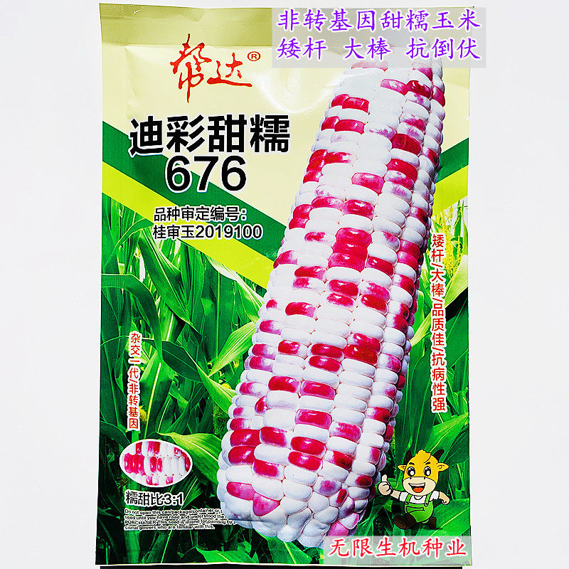 邦达高产抗病春夏秋季