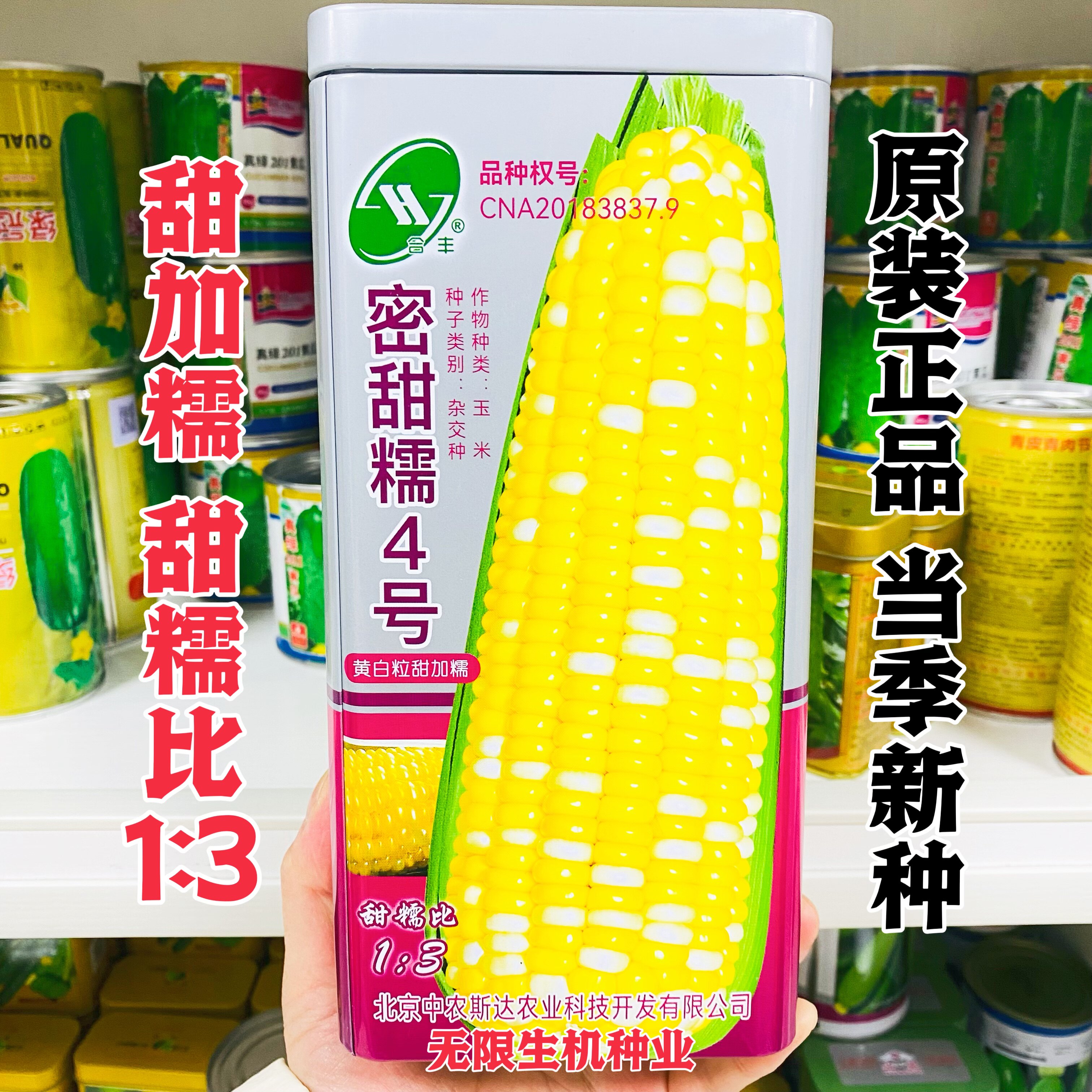 密甜糯4号玉米种子甜加糯玉米种非转基因黄白双色糯玉米种籽正品