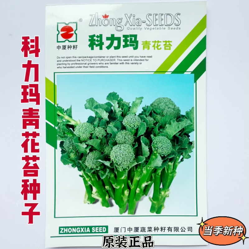 科力玛青花苔种子 早熟多侧苔 多次采收农家蔬菜种籽