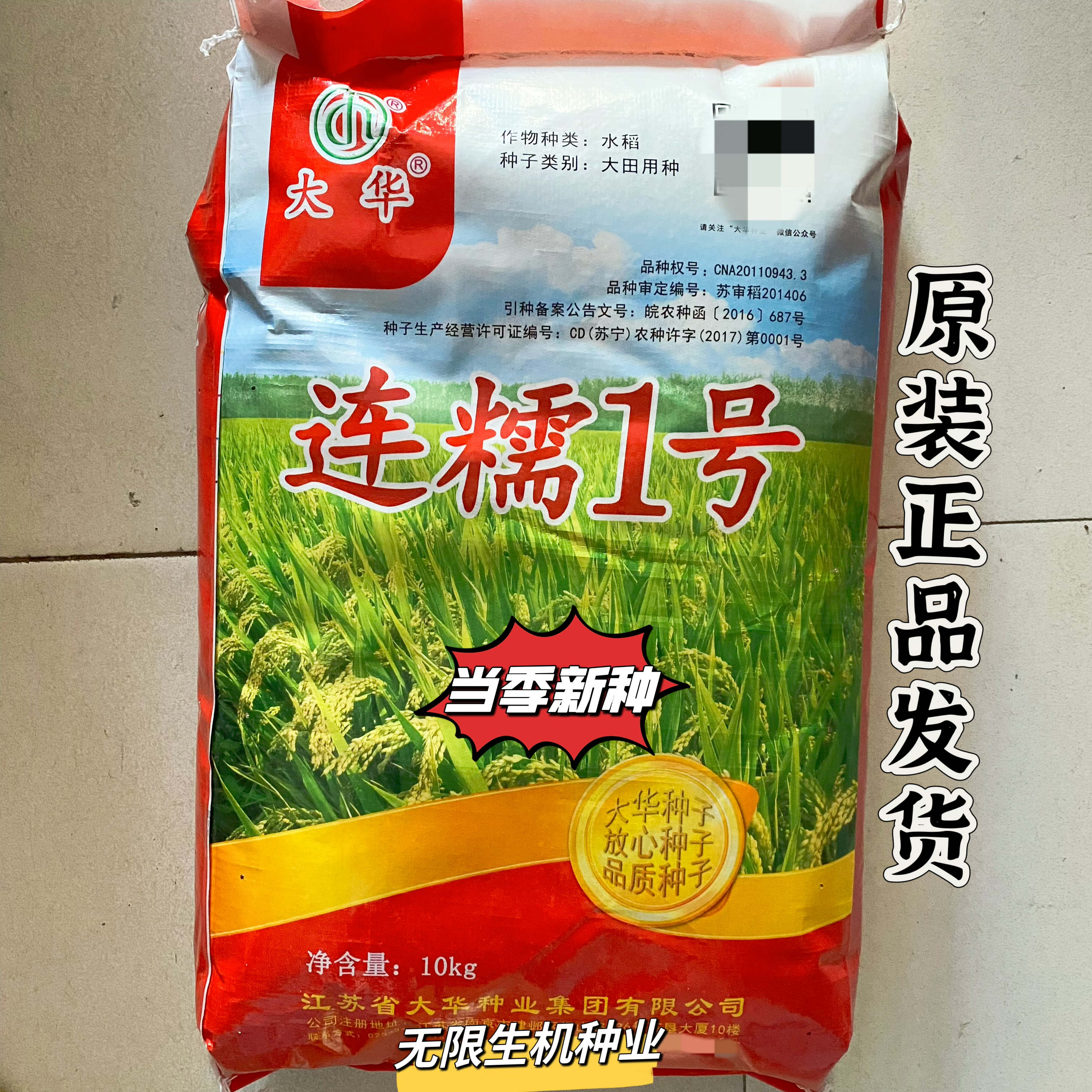 连糯1号水稻种子国审大田用种优质长粒糯米粘稻糯稻种籽原装正品