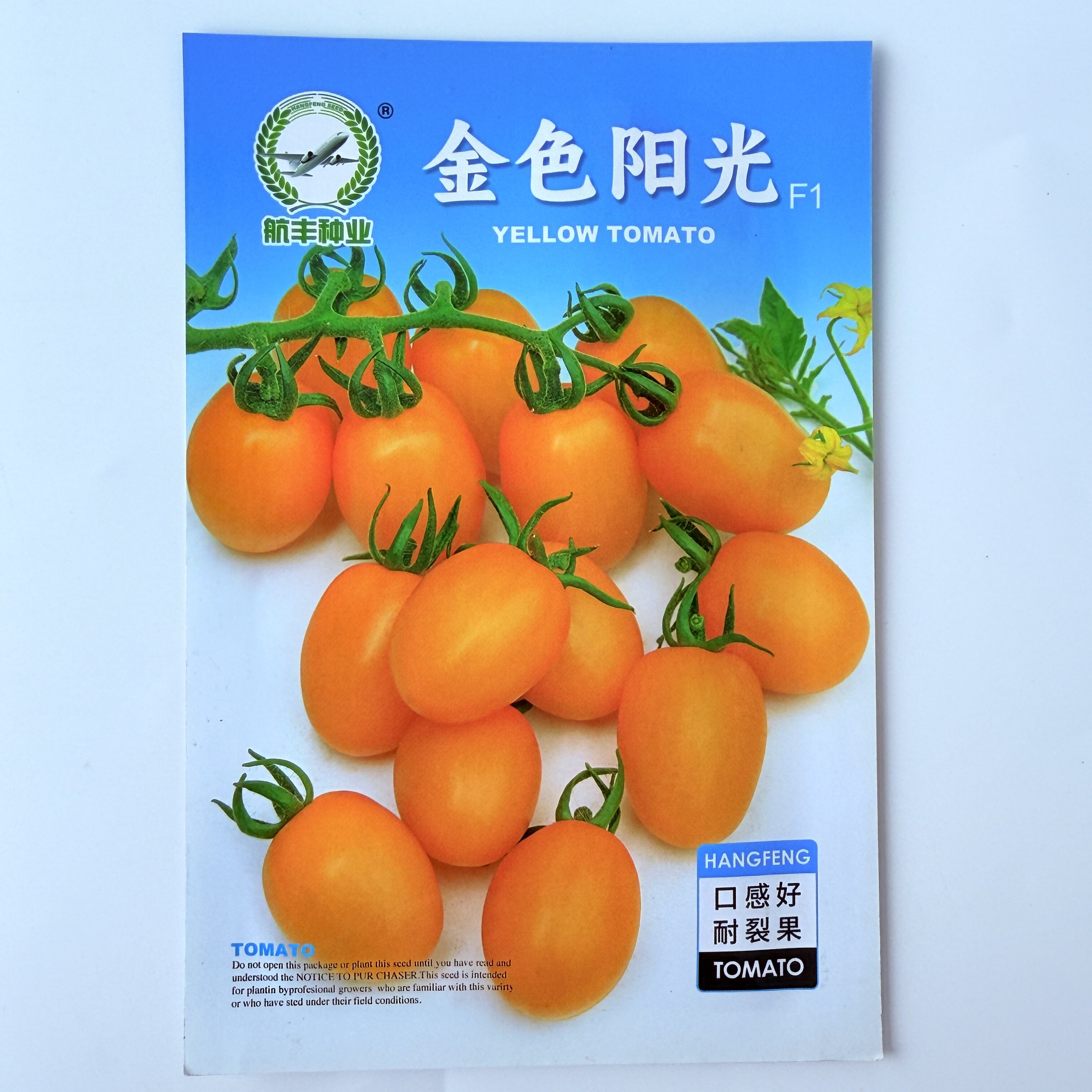 金色阳光黄樱桃番茄种子 椭圆形黄圣女果 四季盆栽小西红柿种子籽