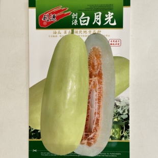 菜瓜甜瓜种子大全菜瓜江城脆甜瓜籽白月光油瓜种子春夏种高产正品