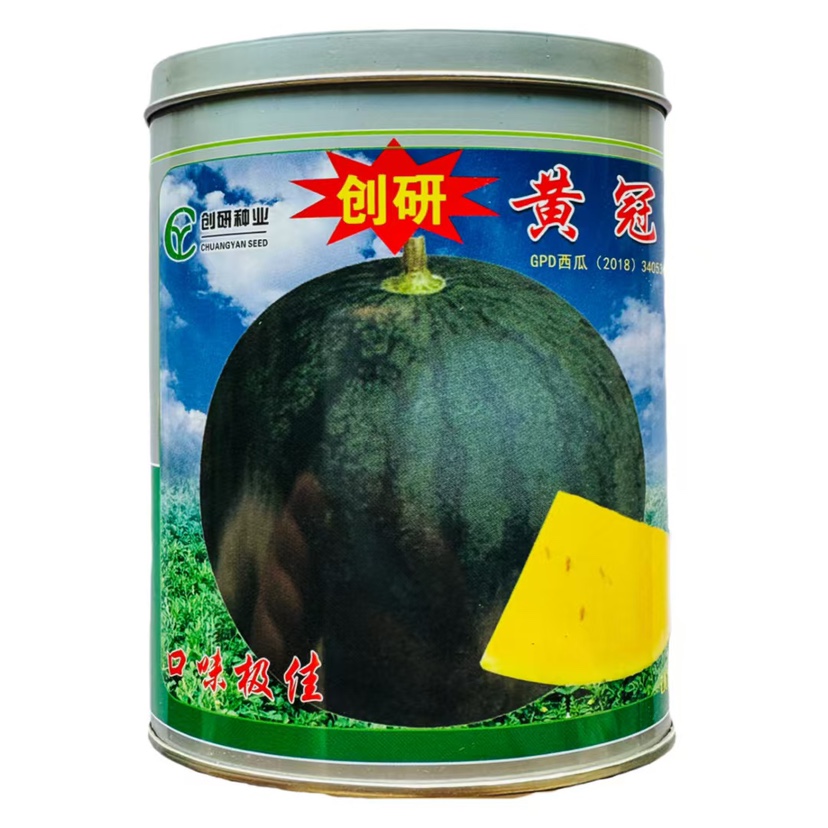 黄冠西瓜种子黑皮黄瓤西瓜种子超甜特大巨型西瓜籽四季懒汉西瓜籽