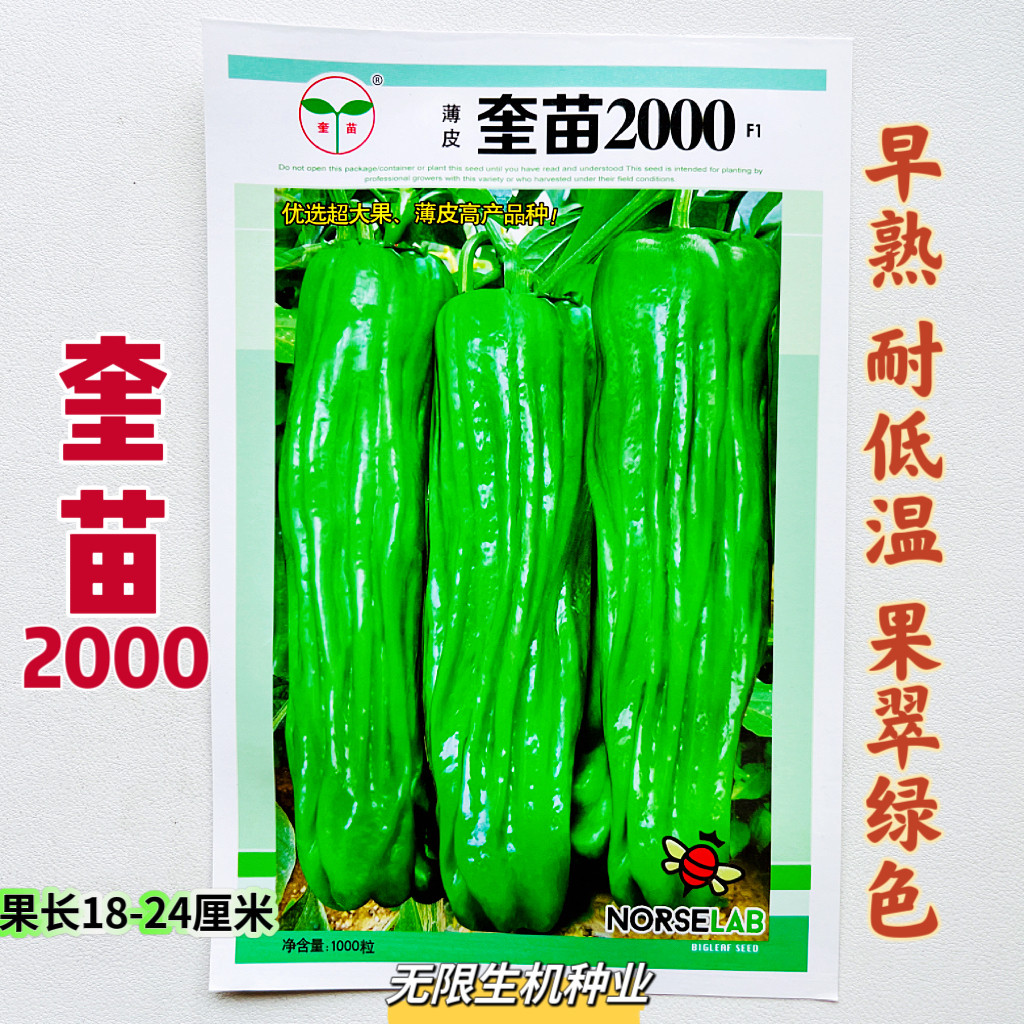 正品薄皮椒大椒种子奎苗2000大果微辣辣椒籽新品种春秋播蔬菜种子