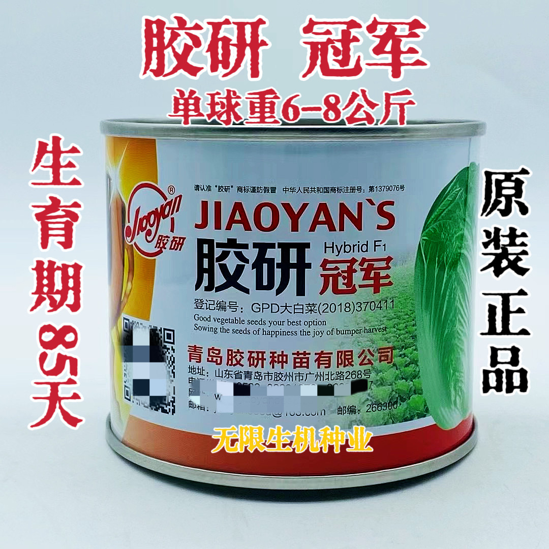 山东胶州大白菜种子胶研冠军高抗三大病害秋播冬贮黄心白菜种籽孑