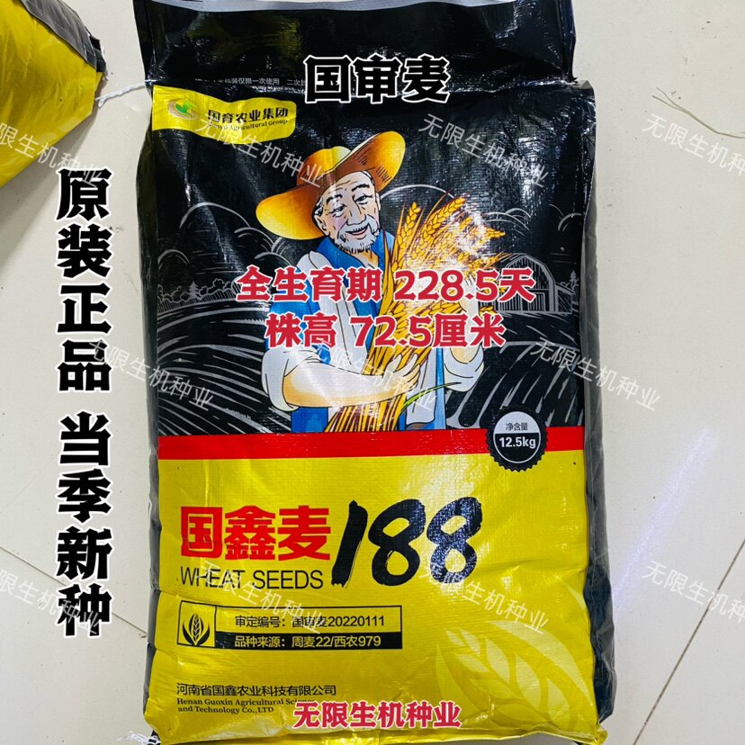 国鑫麦188小麦种子高产抗病抗倒优质小麦种籽农家大田秋冬季正品