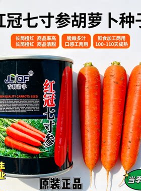 吉利青丰红冠七寸参胡萝卜种子 长筒橙红脆甜四季大田水果蔬菜种