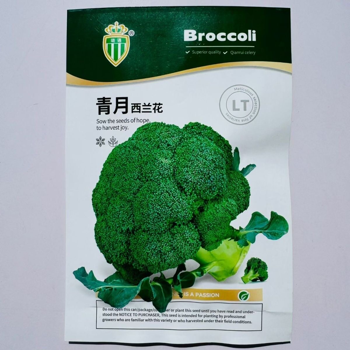 正品青月西兰花种子西兰花种籽四季播青花菜种孑阳台盆栽蔬菜种子