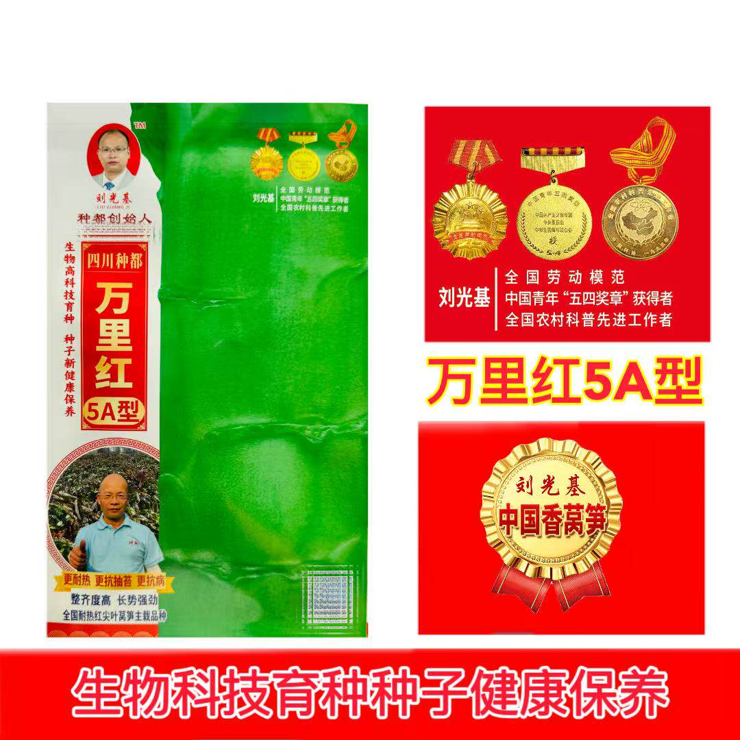 正品种都万里红5A型红尖叶莴笋种子皮浅绿肉翠绿更耐热抗抽苔抗病