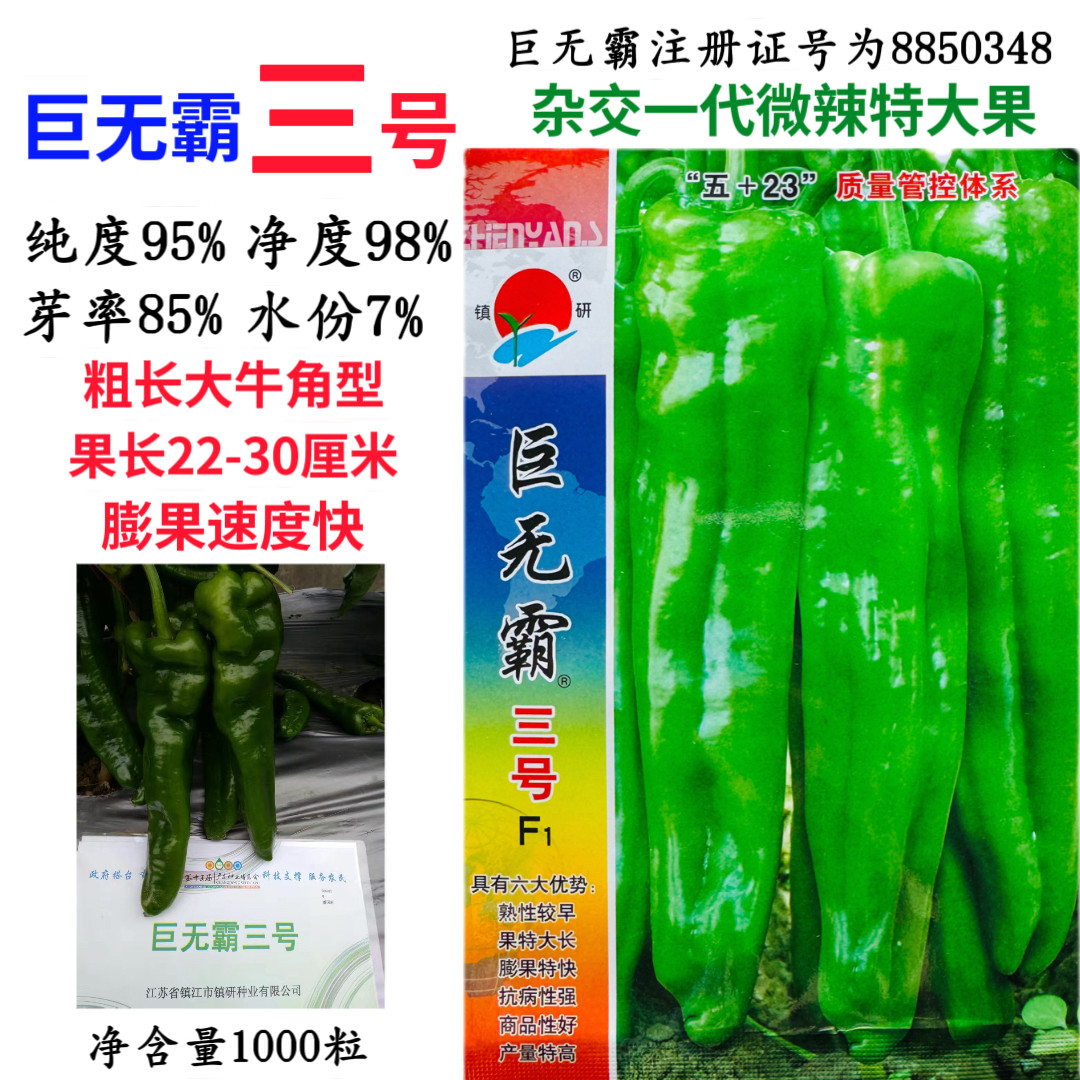 正品 镇研巨无霸三号辣椒种子微辣牛角形抗病丰产春夏秋季播种