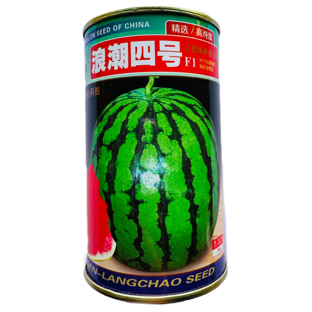 浪潮四号西瓜种子红瓤三倍体花皮无籽大果型西瓜春夏季高产水果种