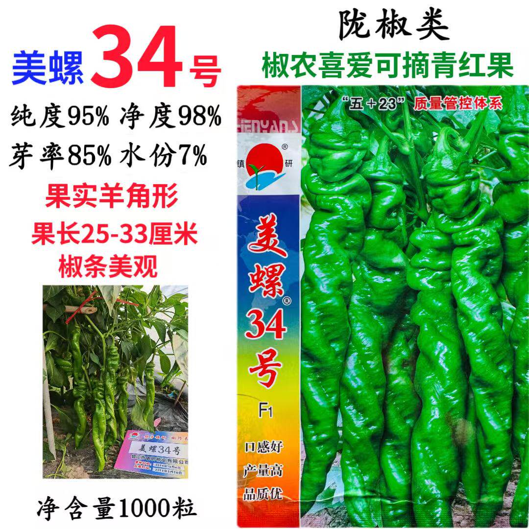 美螺34号螺丝椒种子高产陇椒螺丝椒种籽春季四季羊角型大田播蔬菜