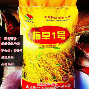 临旱1号稻种子早熟高产抗旱粳稻种籽夏播好吃旱稻水稻籽种大田种