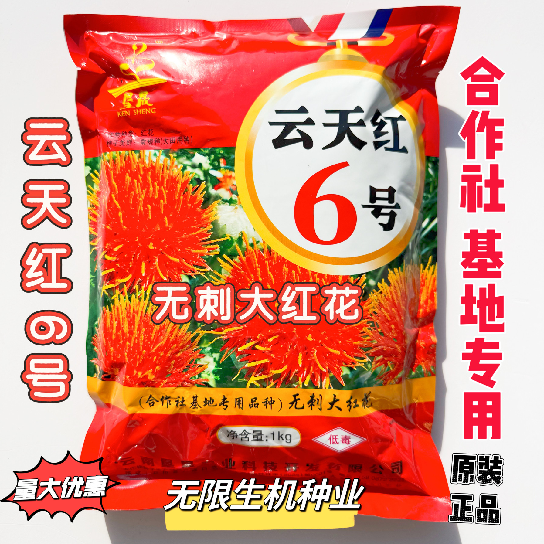 云天红6号红花种子无刺大红花大花花丝长耐寒耐瘠高产草红花种籽