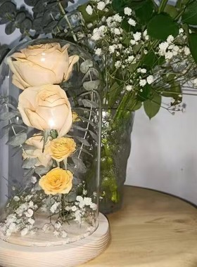 干花储存盒永生花玻璃罩保存花瓶