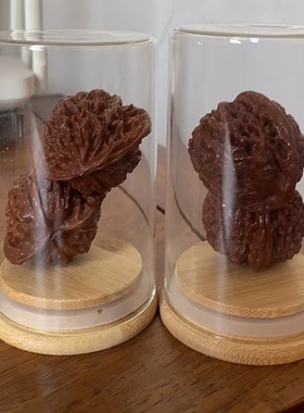 文玩核桃展示盒佛珠菩提手串收纳密封罐透明玻璃手链珠宝首饰品盒
