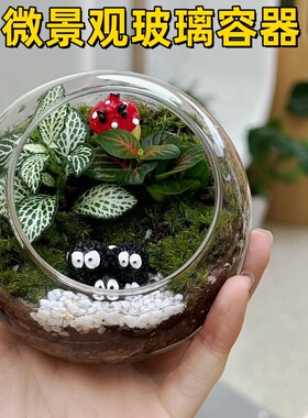 微景观生态瓶植物苔藓玻璃容器diy材料桌面透明圆形多肉水培花瓶