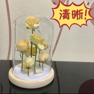 干花保存瓶玻璃罩永生摆件积木手办透明展示收纳盒玫瑰真花密封