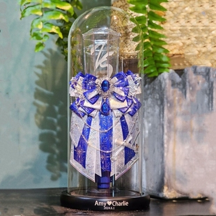 周深应援棒收纳盒巡回演唱会周边深深的蓝管荧光棒透明展示玻璃罩