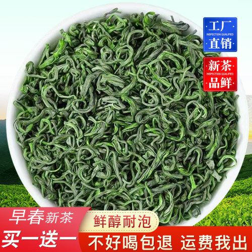 【买一送一】高山云雾绿茶口粮新茶浓香型茶叶散装店有碧螺春毛尖