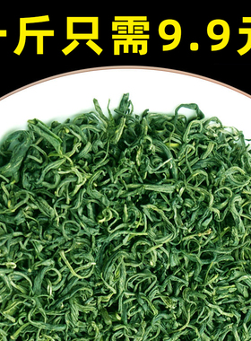 1斤绿茶2025新茶叶浓香型散装高山云雾茶非毛尖茶棋牌室大排档
