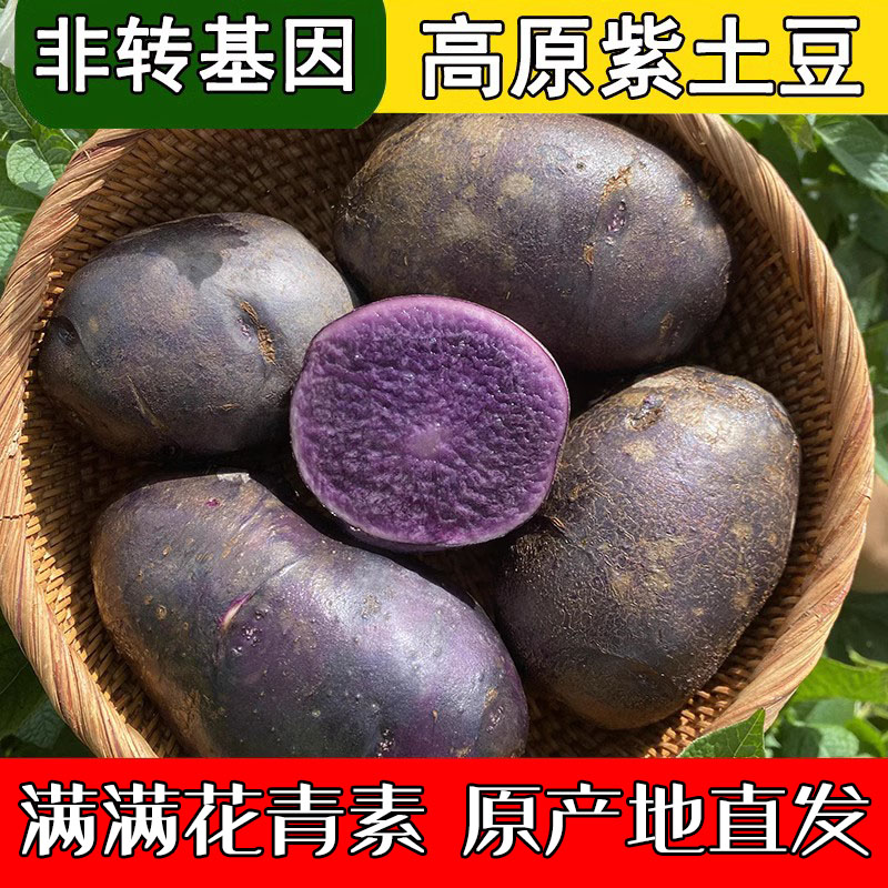 紫土豆丽江高原黑土豆新鲜紫色洋芋现挖现发紫心马铃薯5/9斤包邮