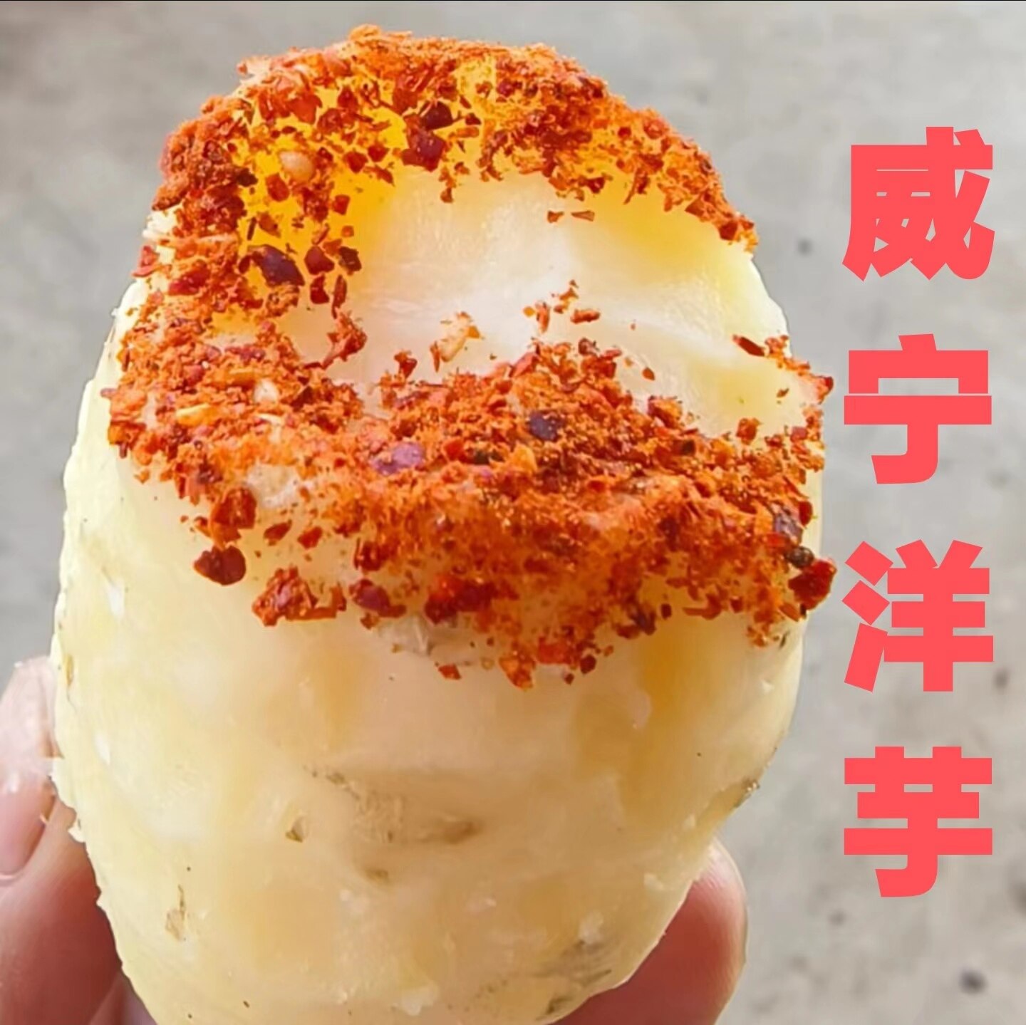 2026威宁正宗新鲜黄心土豆