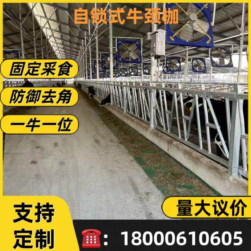 牛颈夹牛颈枷自锁式牛颈夹加厚热镀锌养殖场设备一牛一位厂家供应