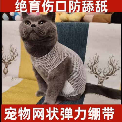 宠物犬狗猫咪外用包扎绷带母猫狗绝育手术服术后护理网状弹力绷带
