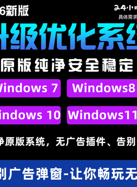 专业系统安装Windows10/11/7远程服务24h在线原版纯净安全稳定