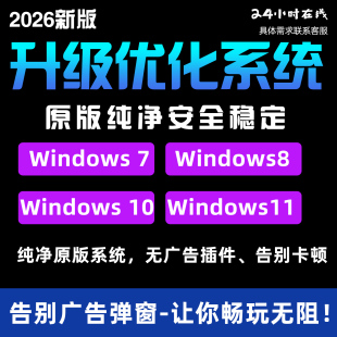 专业系统安装Windows10/11/7远程服务24h在线原版纯净安全稳定