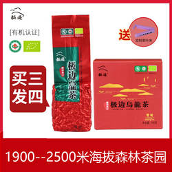 2025云南极边乌龙茶腾冲乌龙茶青心乌龙软枝雪域定制100g