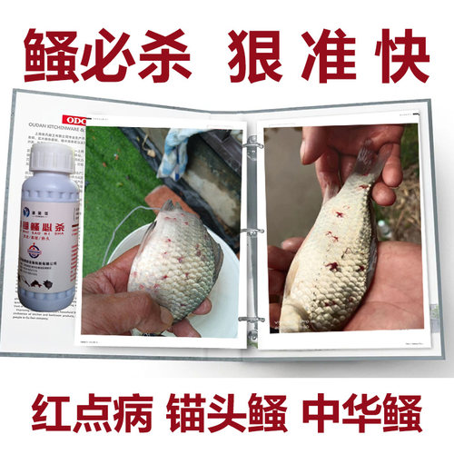 鲫鱼红点鱼虾一次净锚头鳋敌百虫