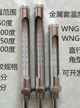 衡瑞祥河北不锈钢金属套温度计