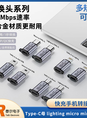 QC480MbpsType-C母lighting micro miniUSB快充手机转接头