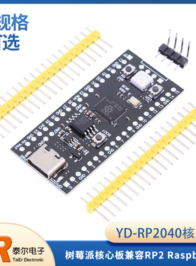 YD-RP2040树莓派核心板 兼容RP2 Raspberry Pi Pico Micropython