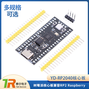 YD-RP2040树莓派核心板 兼容RP2 Raspberry Pi Pico Micropython