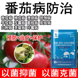西红柿防病药脐腐病专用药杀菌剂治番茄卷叶病晚疫病黄叶病黑杆病