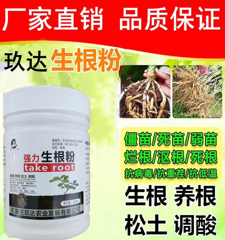 极鼎快生根粉扦插育苗植物通用力生根剂液大树果树移栽发根粉强速
