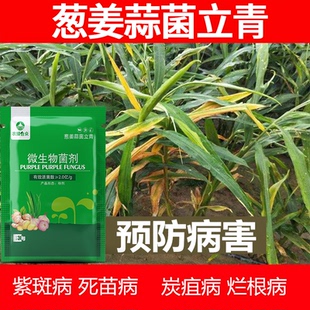 葱姜蒜韭菜干尖灵黄叶一喷绿大葱大姜大蒜卷叶病抗病杀菌剂专用药