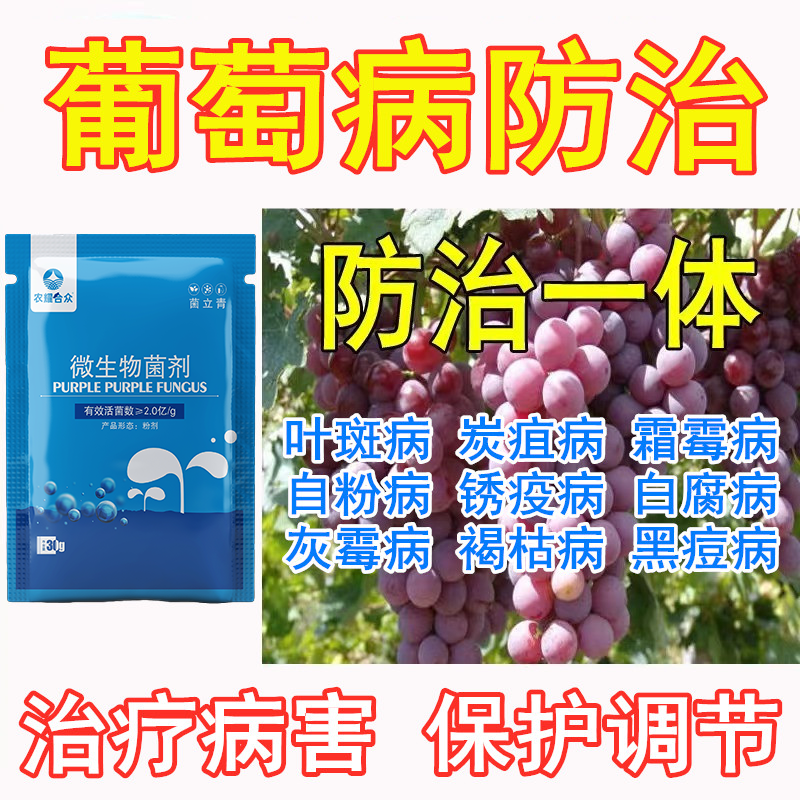 肥料葡萄白腐病葡萄专用药
