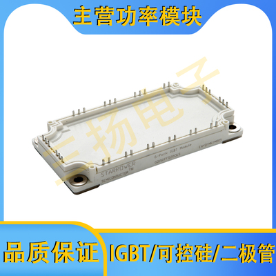 IGBT模块GD300/200/150/100/75 FFA/FFX/FFY/FTX/FTY120C6S拍前询