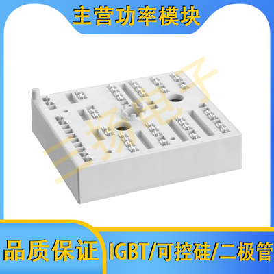 IGBT模块SKiiP26/25/24/22NAB066V1/12T7V1/12T4V1/126V1拍前询