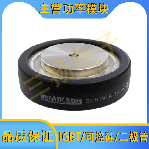 二极管模块SKN503/22SG SKN503/18SG SKN503/12SG拍前询