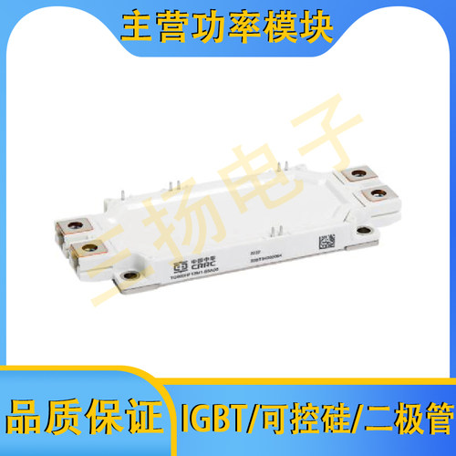 IGBT模块TG900/800/750/600/500/450/300HF17/12M1拍前询