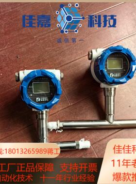 东驰热式气体质量计DN15测量范围5～200Lmi